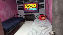 Blk 916 TAMPINES PALMSVILLE (Tampines), HDB 4 Rooms #545842581